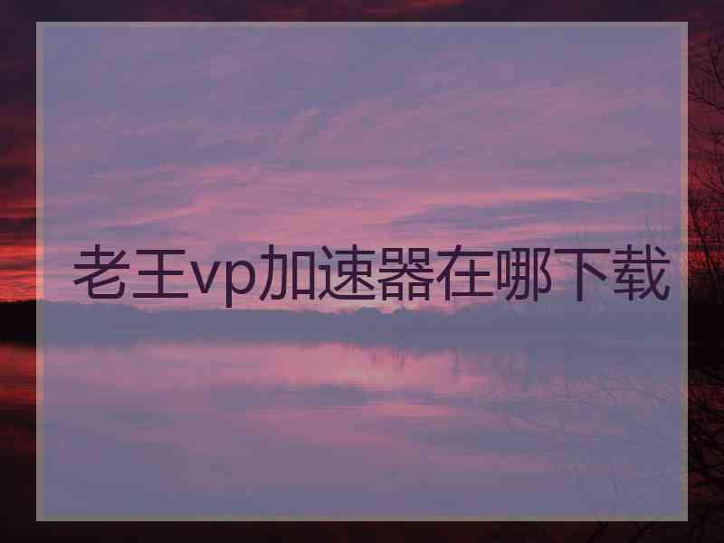 老王vp加速器在哪下载