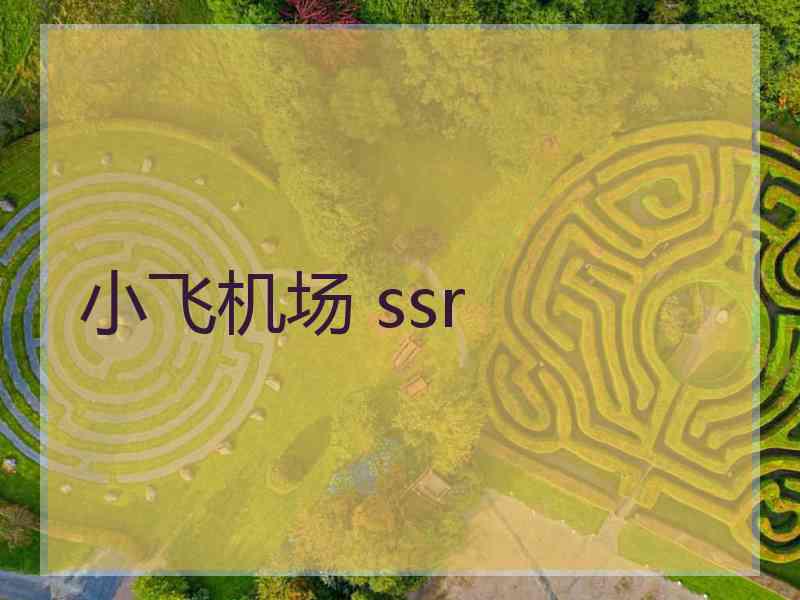 小飞机场 ssr