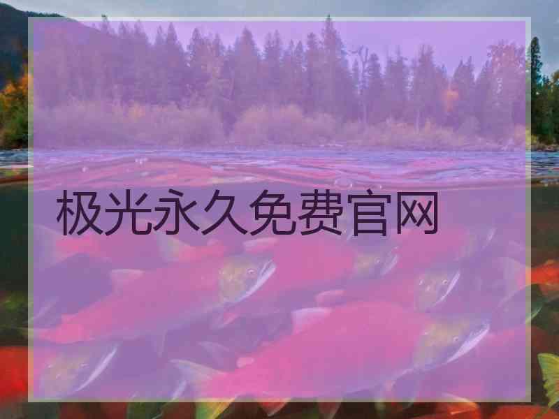 极光永久免费官网