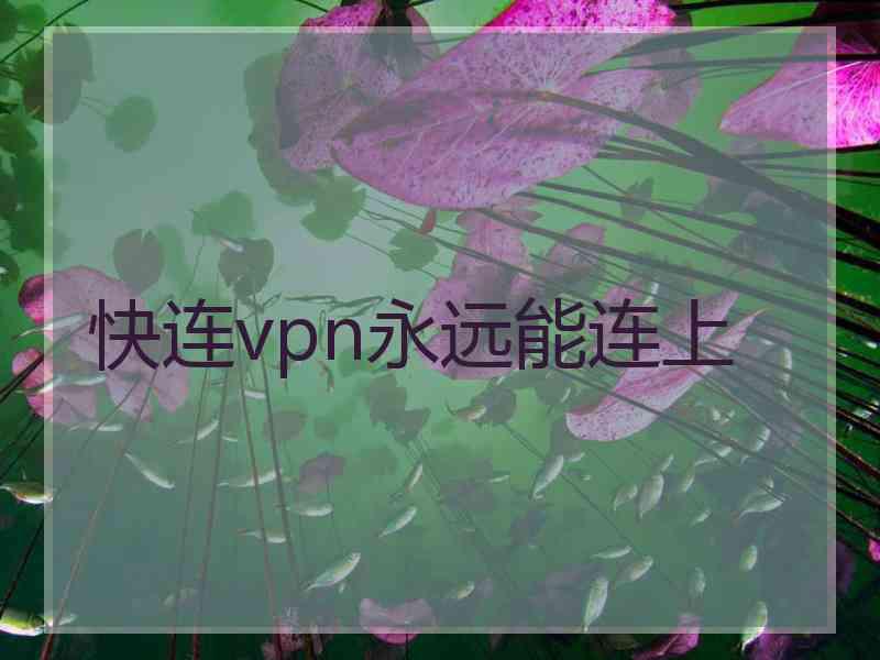 快连vpn永远能连上