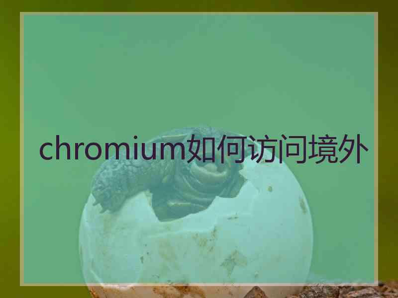 chromium如何访问境外