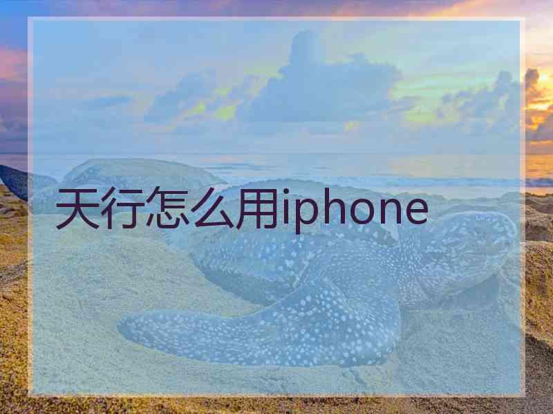 天行怎么用iphone