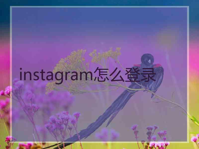 instagram怎么登录