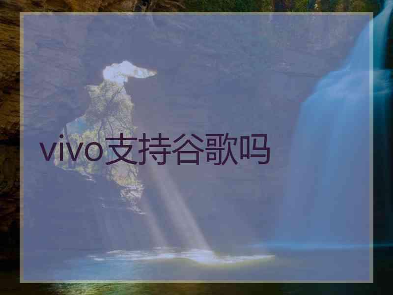 vivo支持谷歌吗