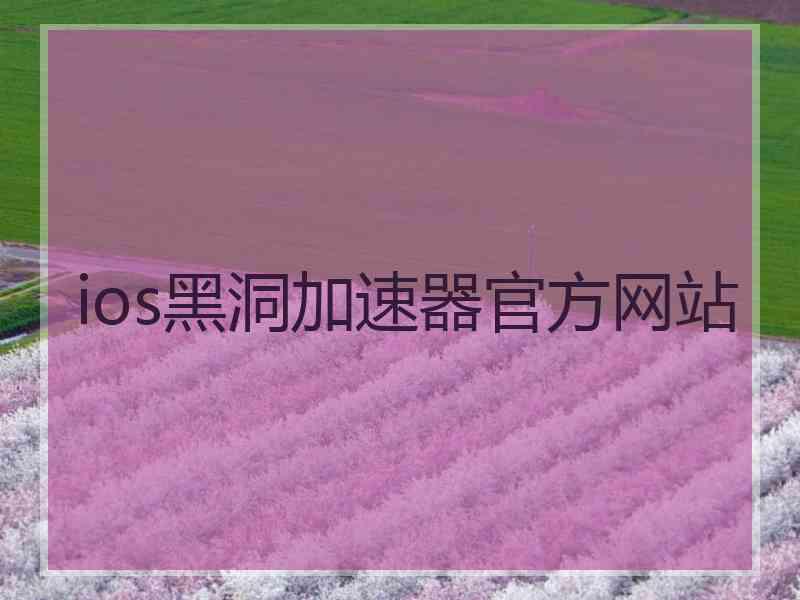 ios黑洞加速器官方网站