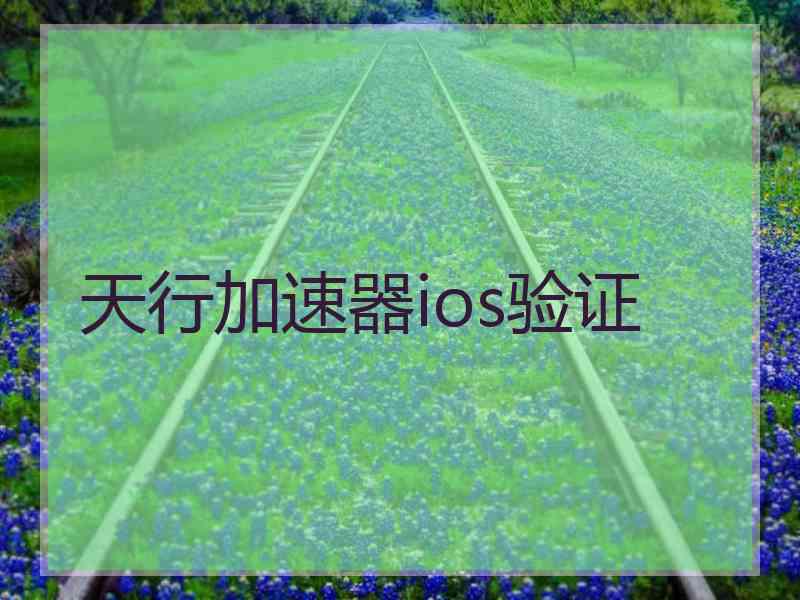 天行加速器ios验证