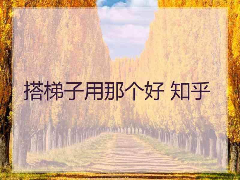 搭梯子用那个好 知乎