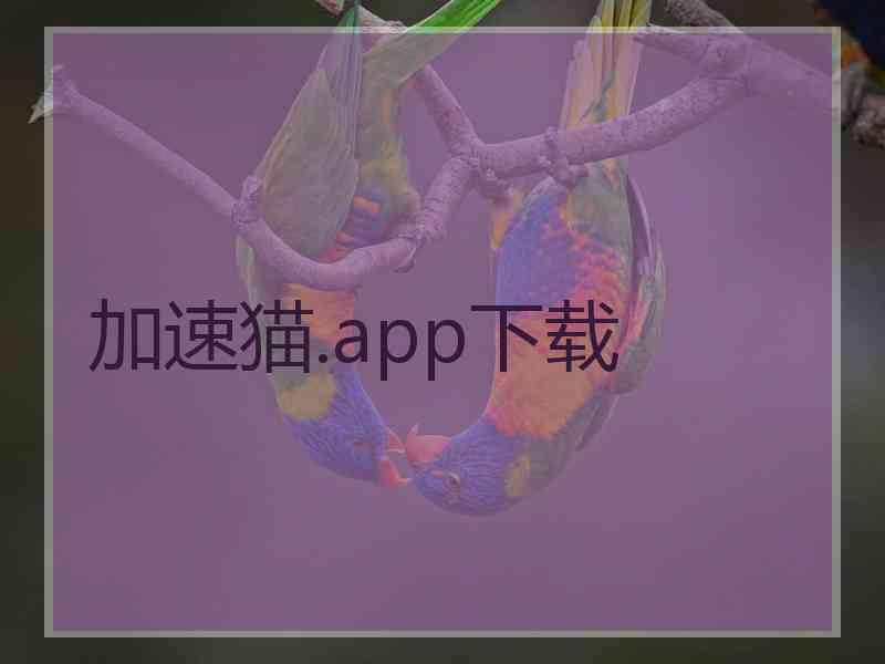 加速猫.app下载