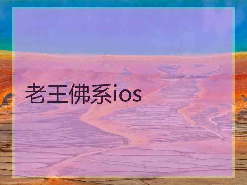 老王佛系ios