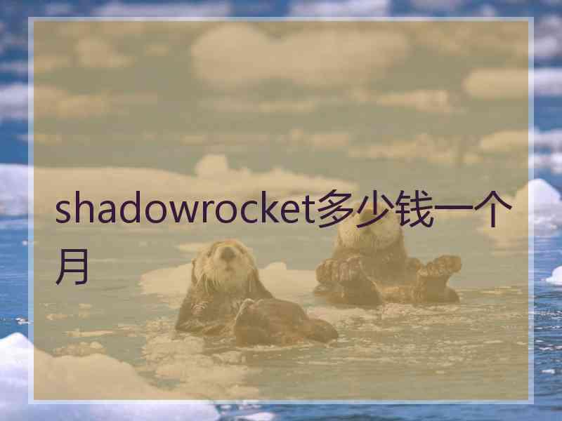 shadowrocket多少钱一个月