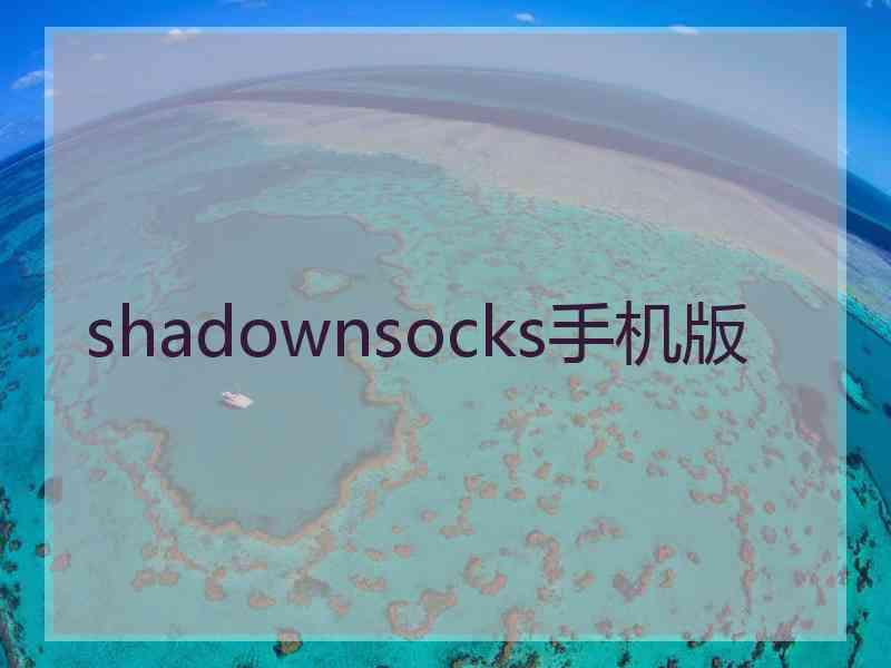 shadownsocks手机版