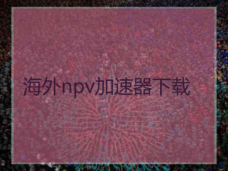 海外npv加速器下载