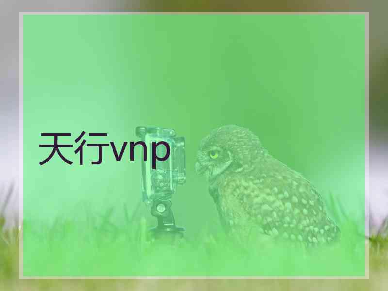 天行vnp