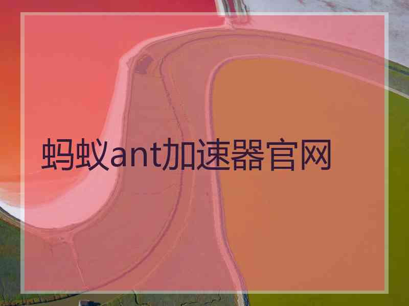 蚂蚁ant加速器官网