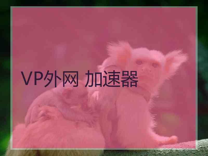 VP外网 加速器