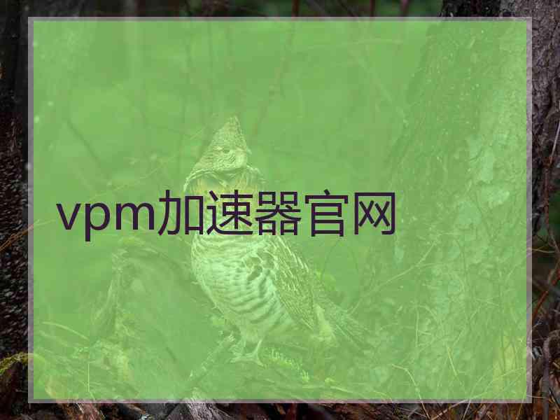 vpm加速器官网