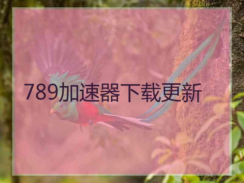 789加速器下载更新