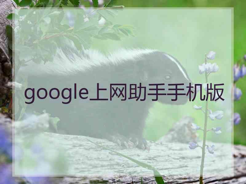 google上网助手手机版