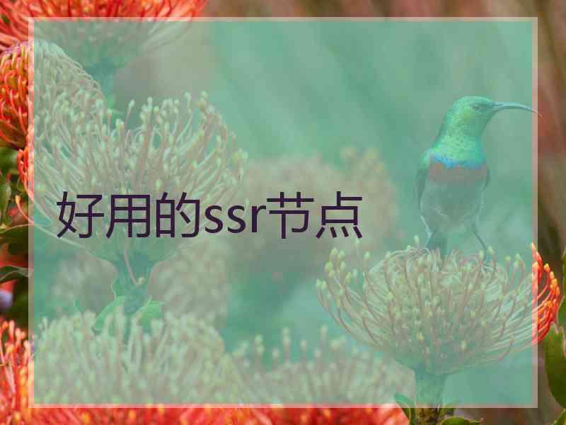 好用的ssr节点