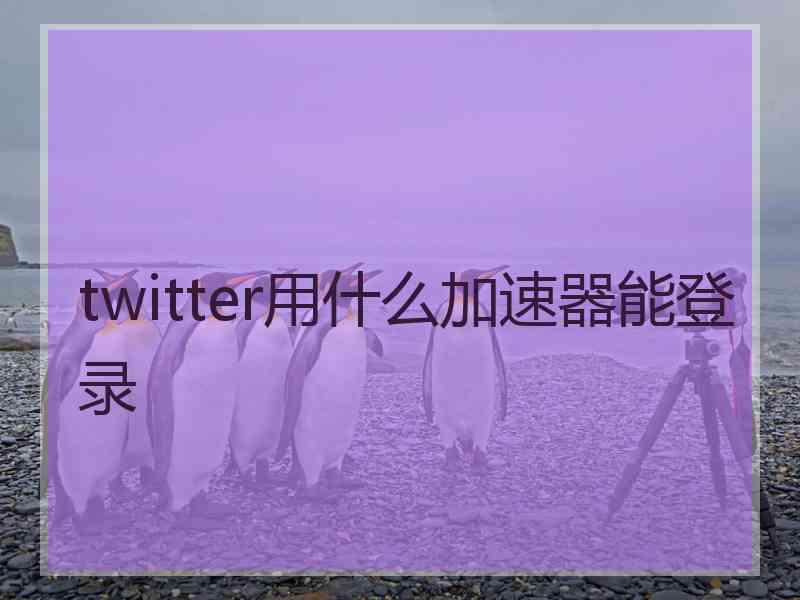 twitter用什么加速器能登录