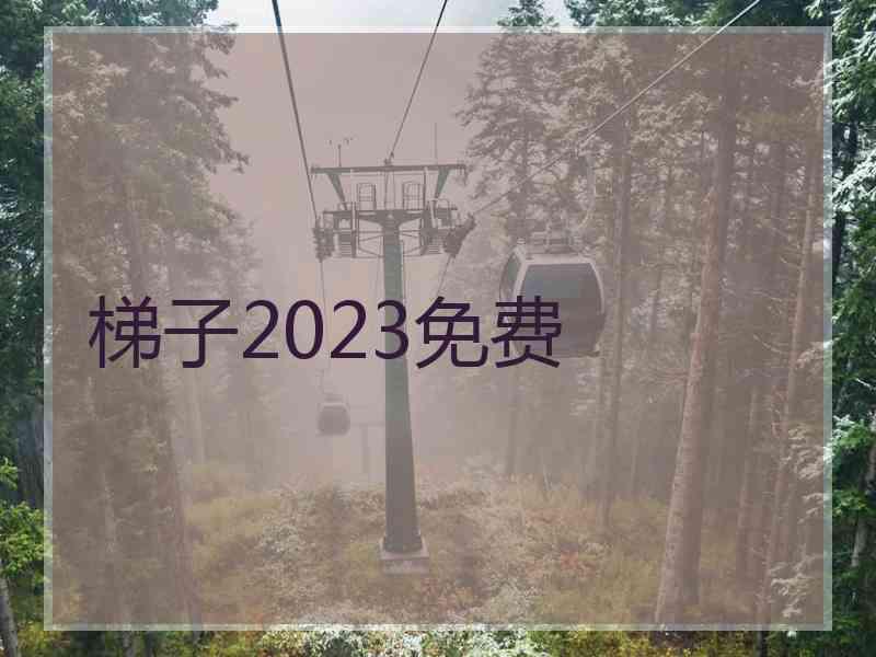 梯子2023免费