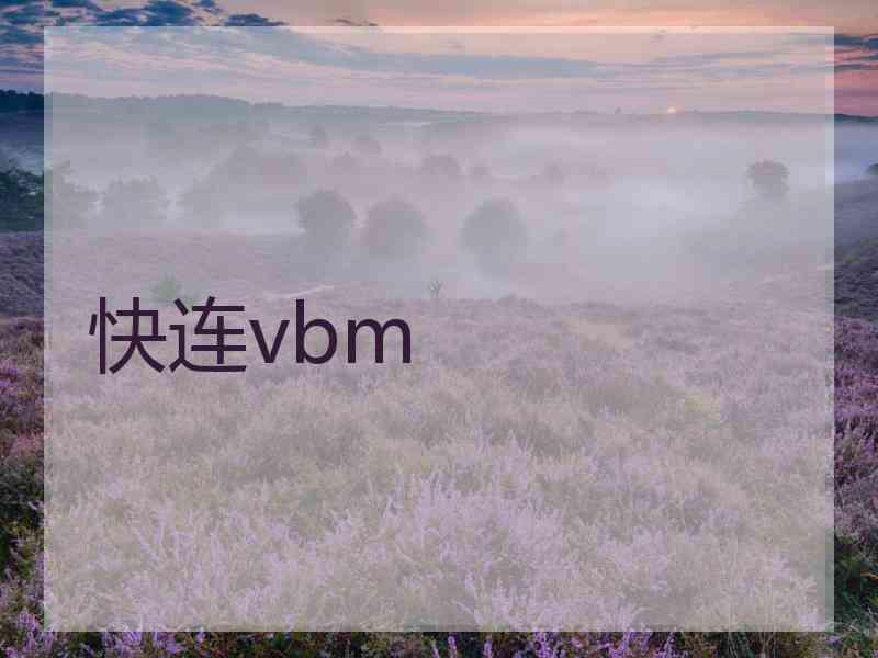 快连vbm