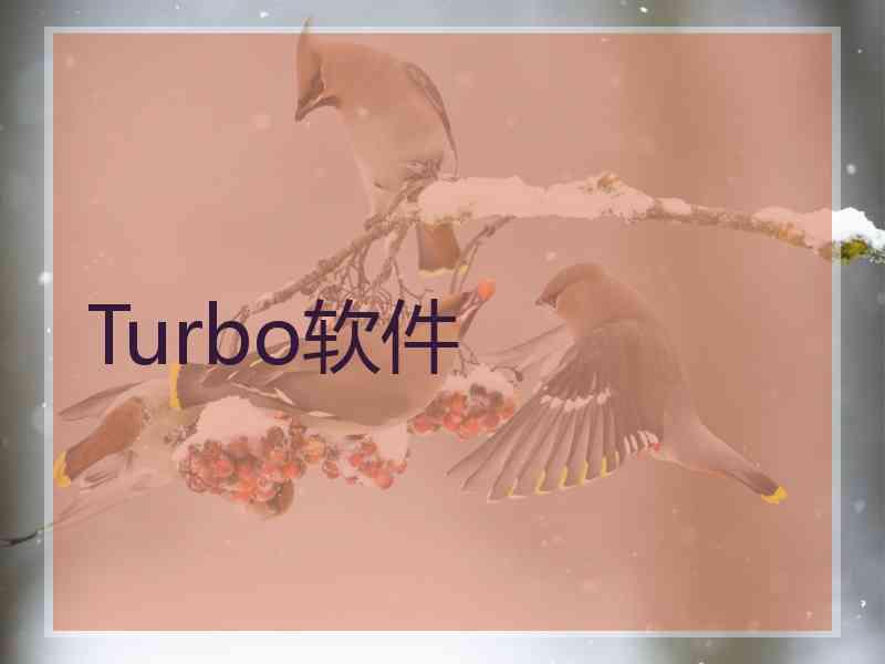 Turbo软件