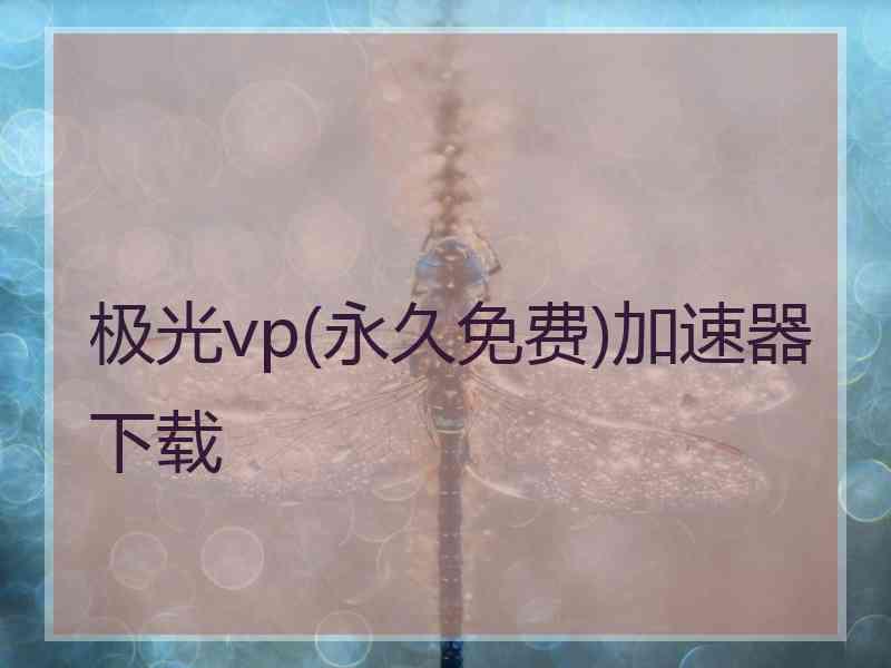 极光vp(永久免费)加速器下载