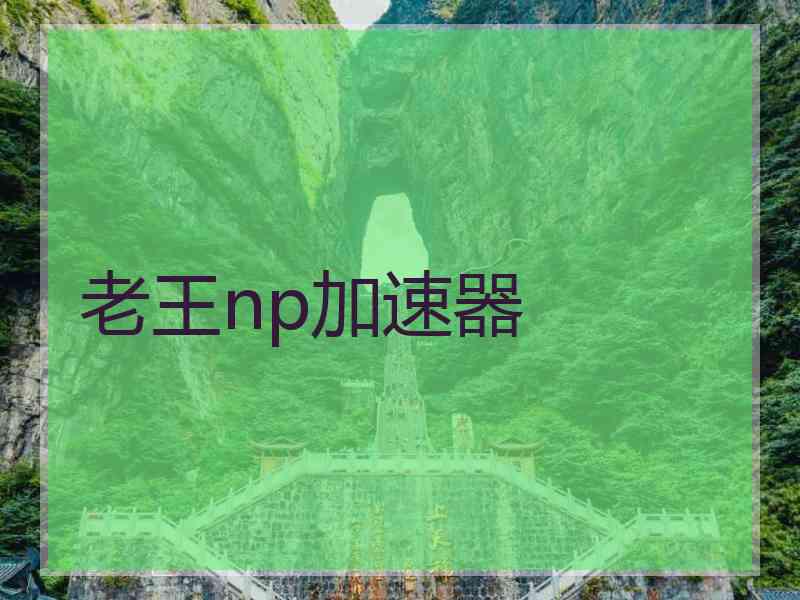 老王np加速器