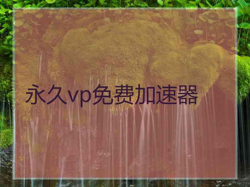 永久vp免费加速器