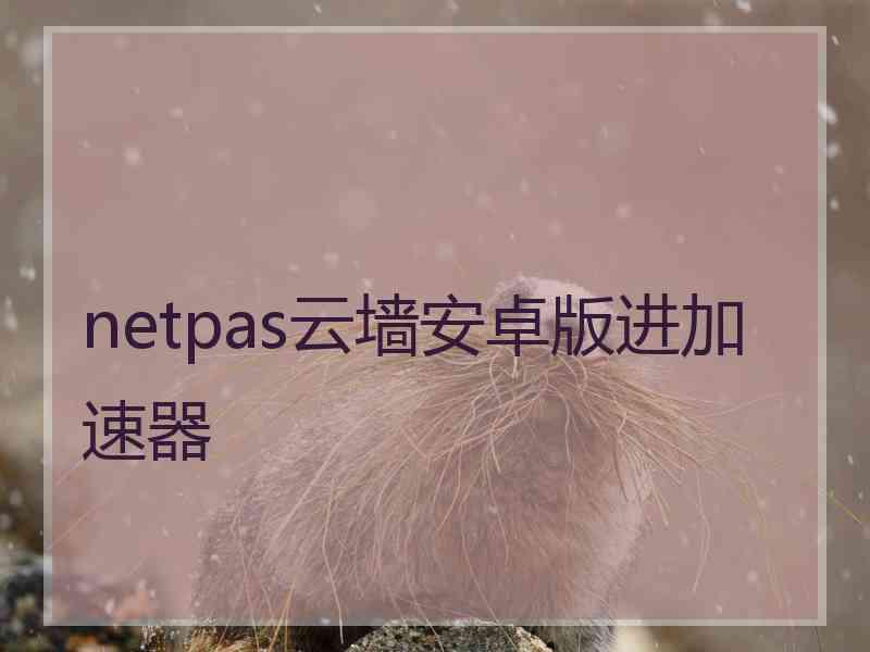 netpas云墙安卓版进加速器