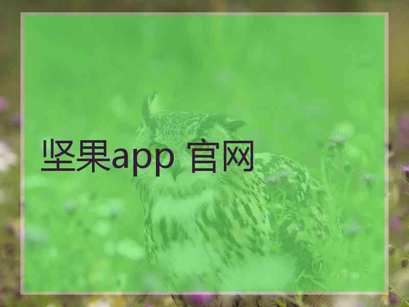 坚果app 官网