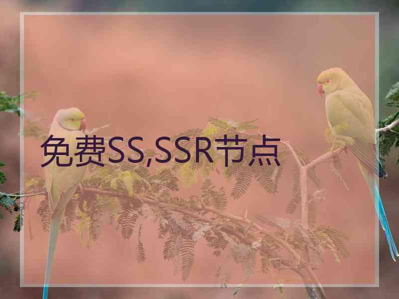 免费SS,SSR节点