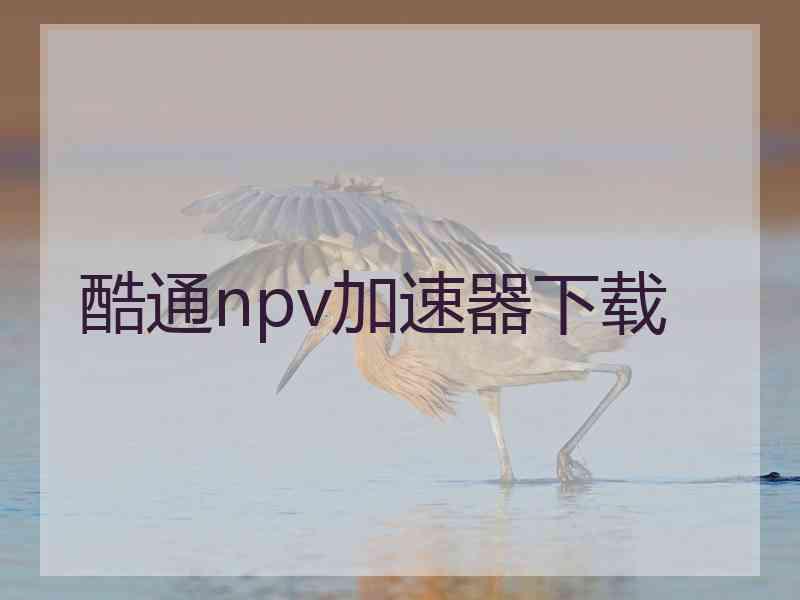 酷通npv加速器下载