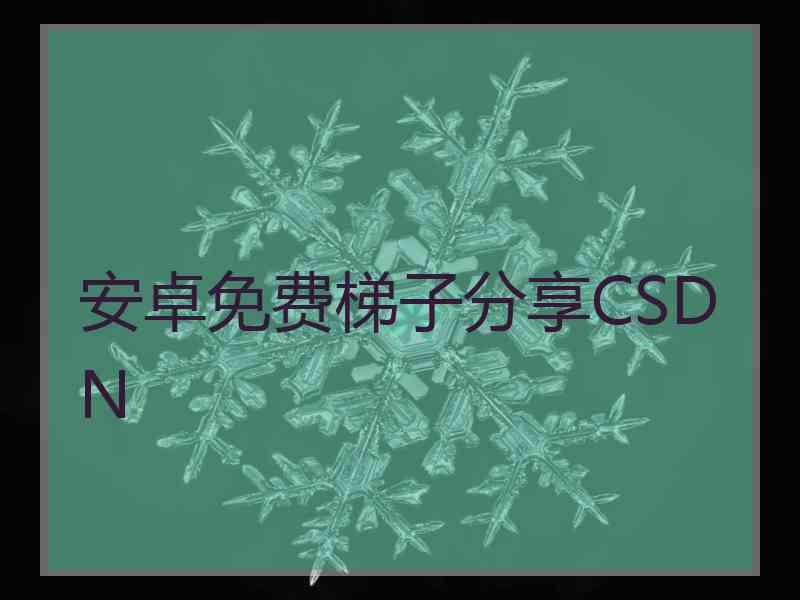 安卓免费梯子分享CSDN