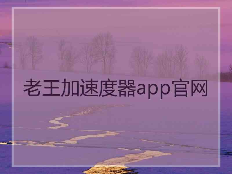 老王加速度器app官网