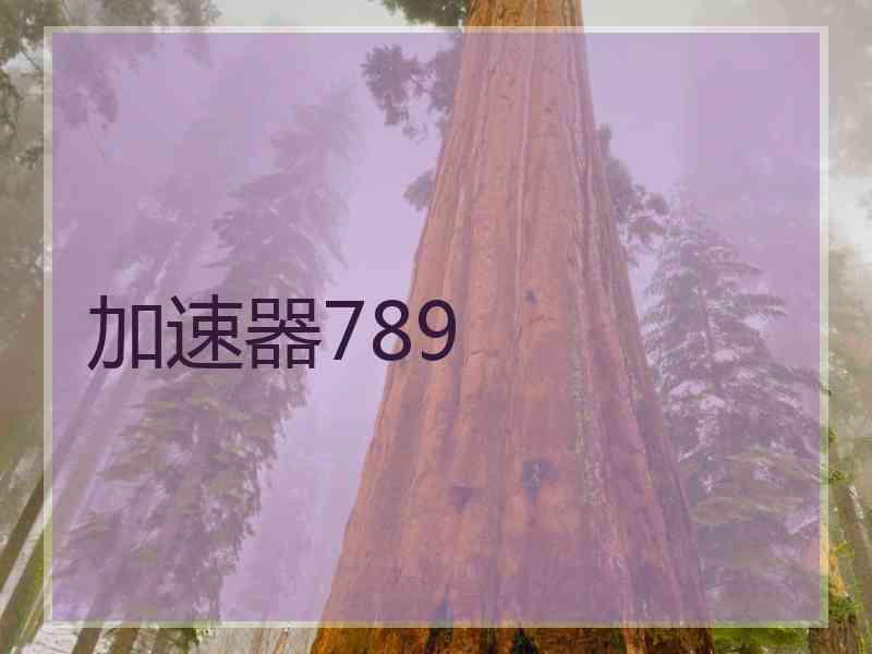 加速器789