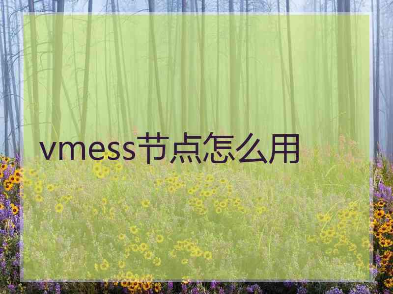 vmess节点怎么用