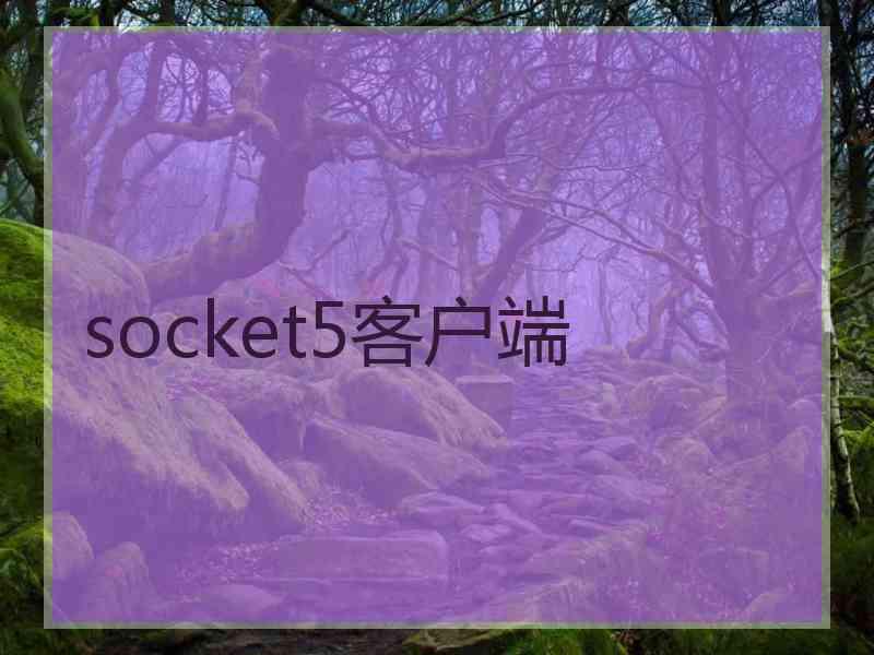 socket5客户端