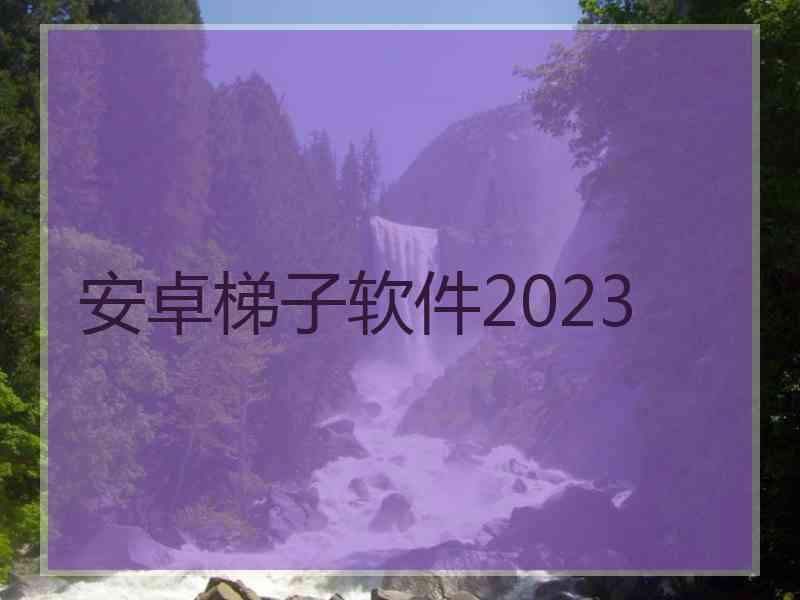 安卓梯子软件2023