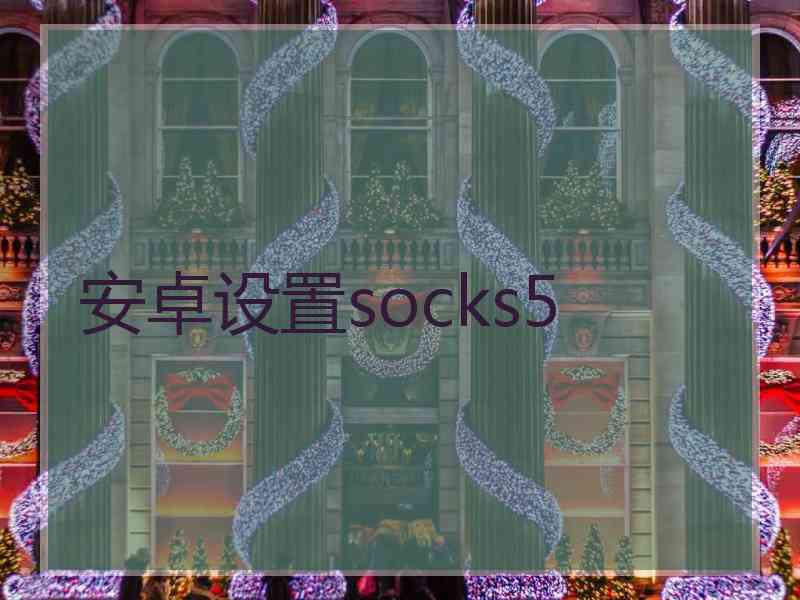 安卓设置socks5