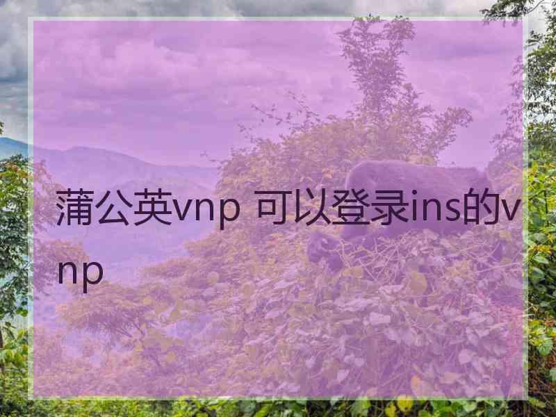 蒲公英vnp 可以登录ins的vnp