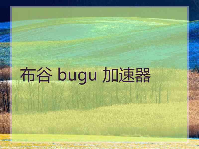 布谷 bugu 加速器