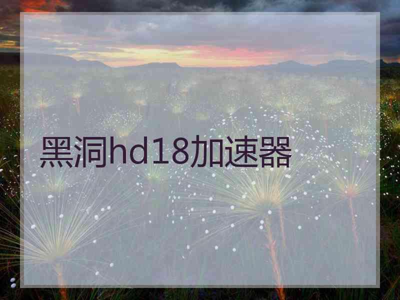 黑洞hd18加速器