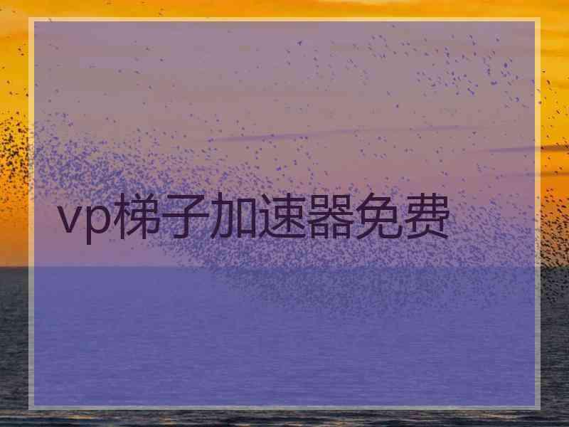 vp梯子加速器免费