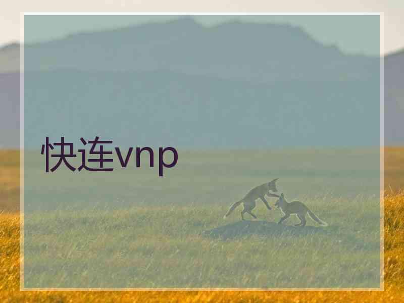 快连vnp