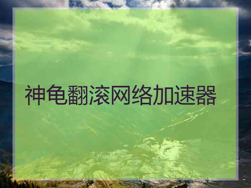 神龟翻滚网络加速器