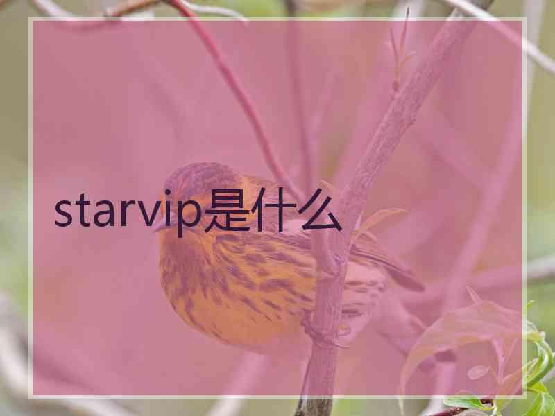 starvip是什么