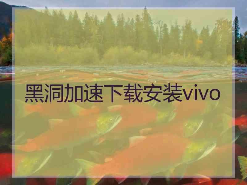 黑洞加速下载安装vivo