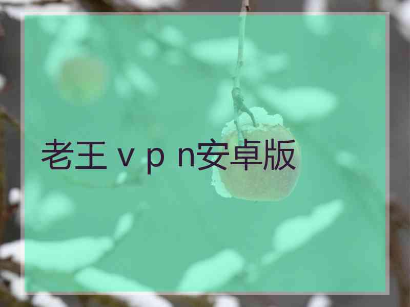 老王 v p n安卓版